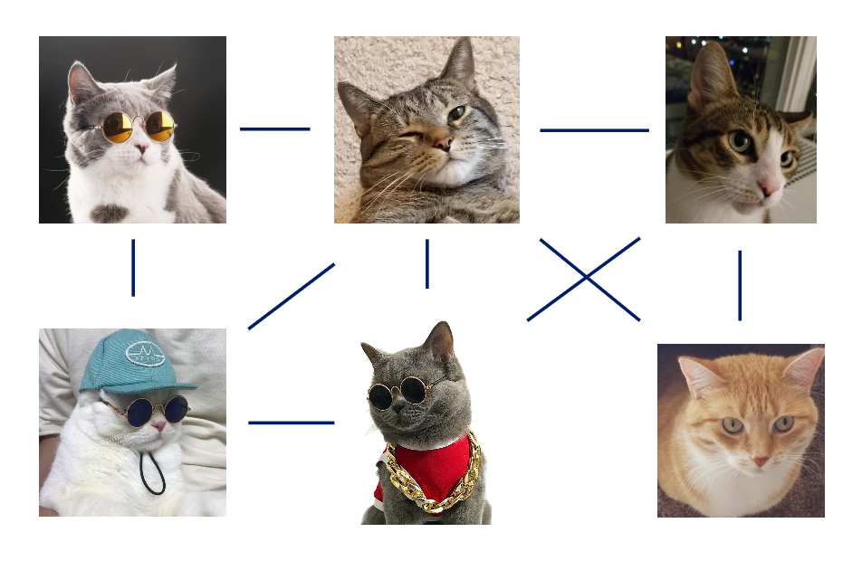 Figure showing a cat social network